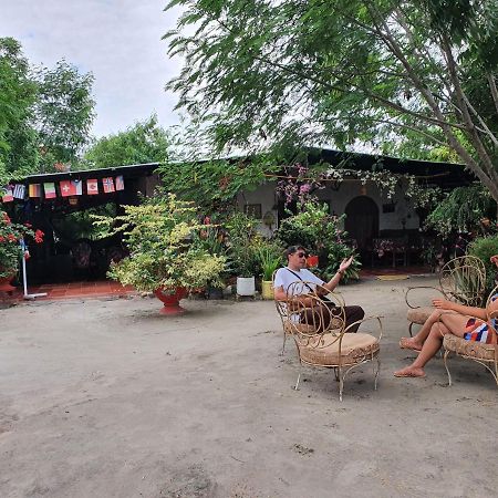 Alojamiento Casa De Campo Los Cactus Villavieja Esterno foto