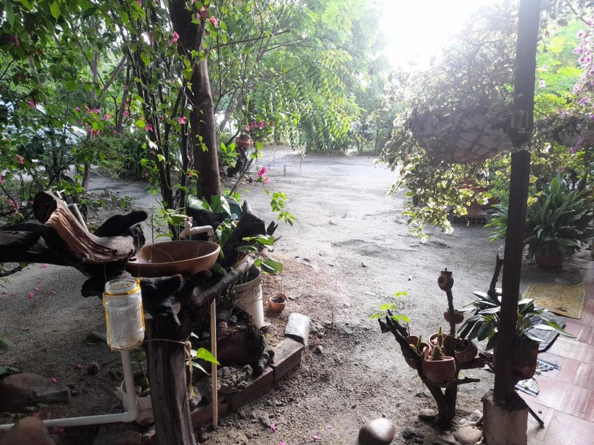 Alojamiento Casa De Campo Los Cactus Villavieja Esterno foto