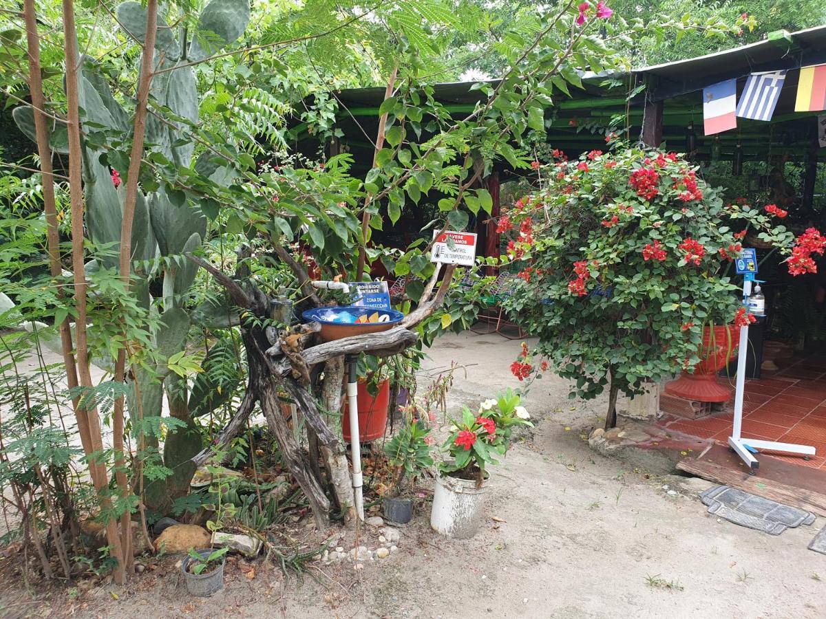 Alojamiento Casa De Campo Los Cactus Villavieja Esterno foto