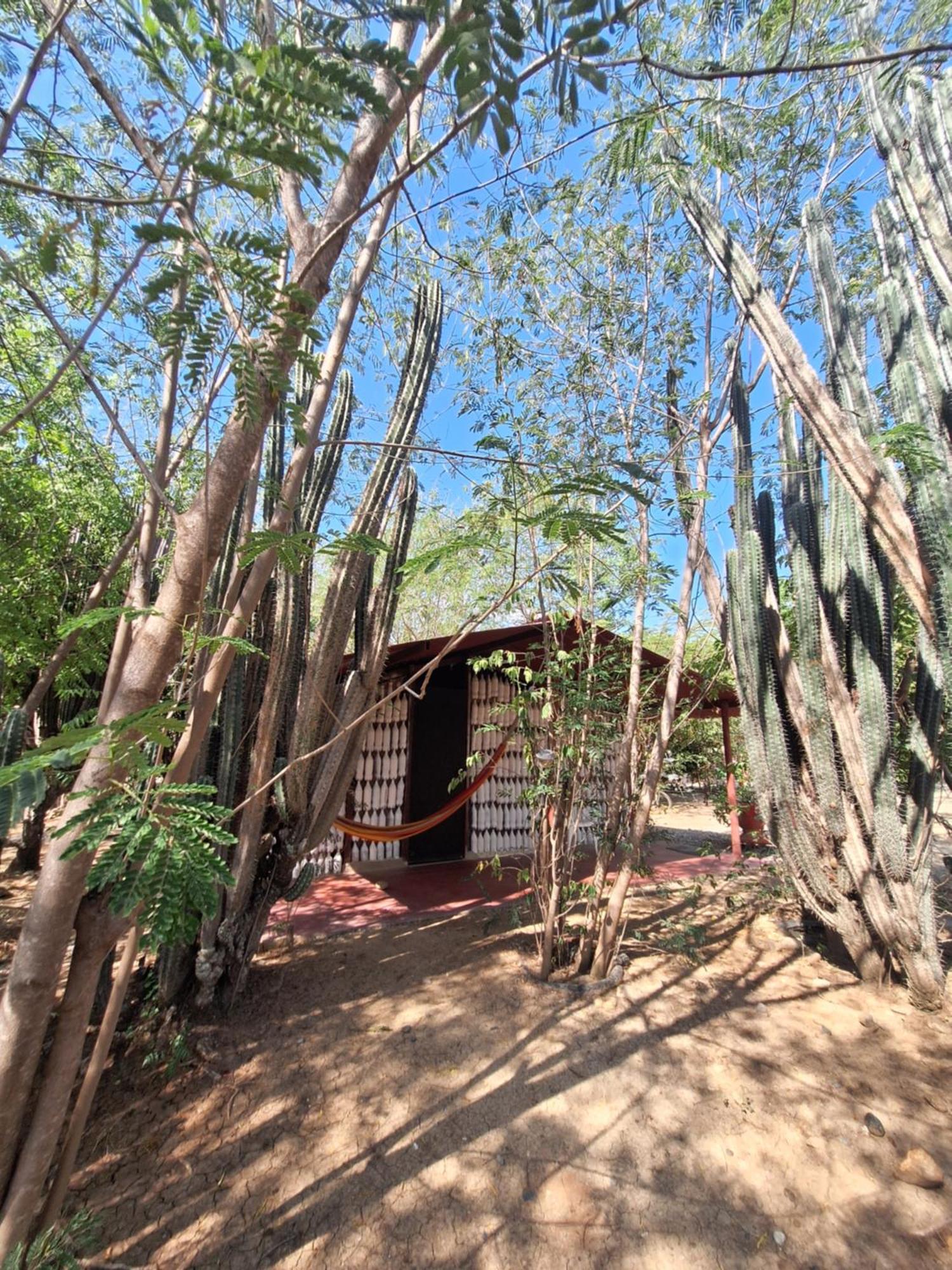 Alojamiento Casa De Campo Los Cactus Villavieja Esterno foto