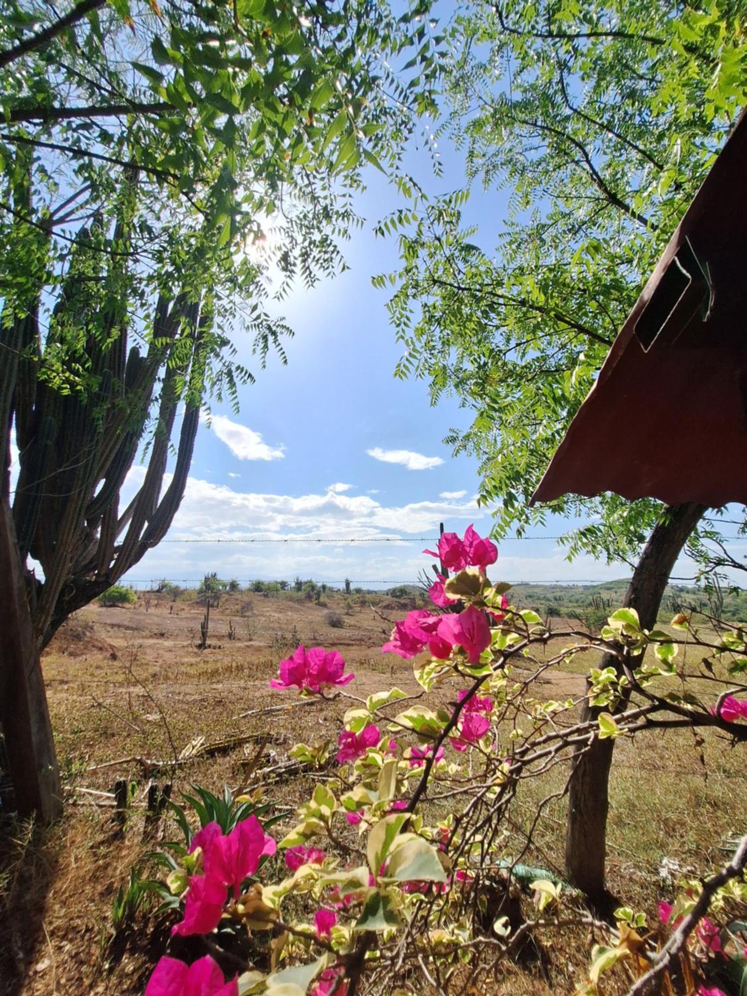 Alojamiento Casa De Campo Los Cactus Villavieja Esterno foto