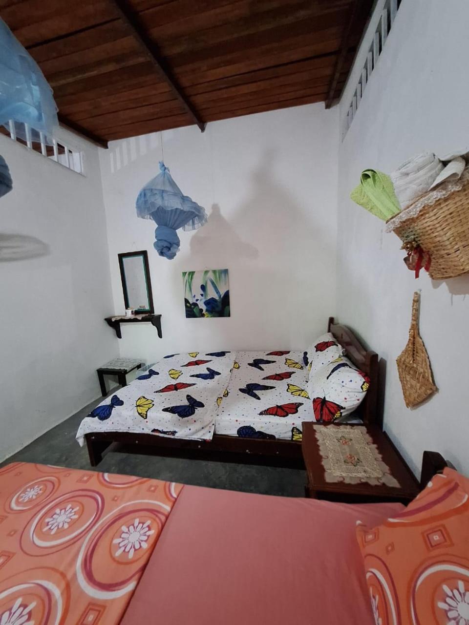 Alojamiento Casa De Campo Los Cactus Villavieja Esterno foto