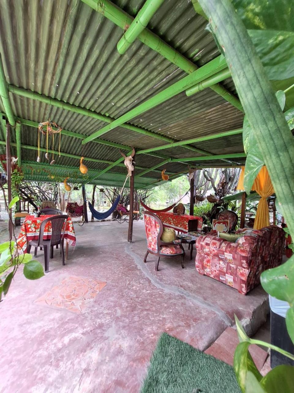 Alojamiento Casa De Campo Los Cactus Villavieja Esterno foto