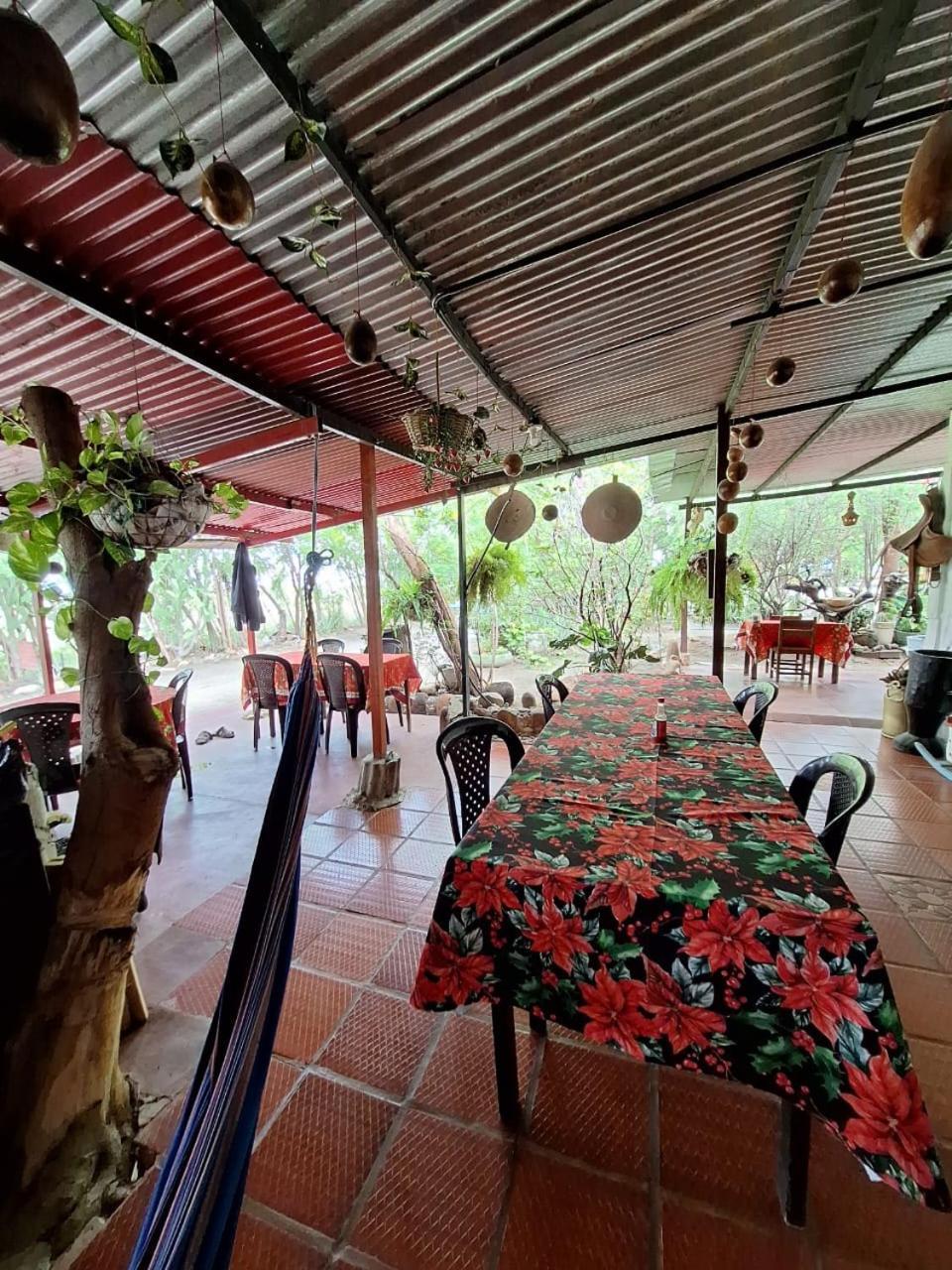Alojamiento Casa De Campo Los Cactus Villavieja Esterno foto