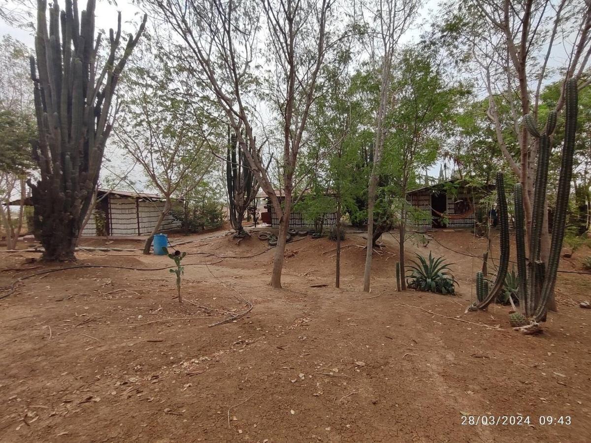 Alojamiento Casa De Campo Los Cactus Villavieja Esterno foto