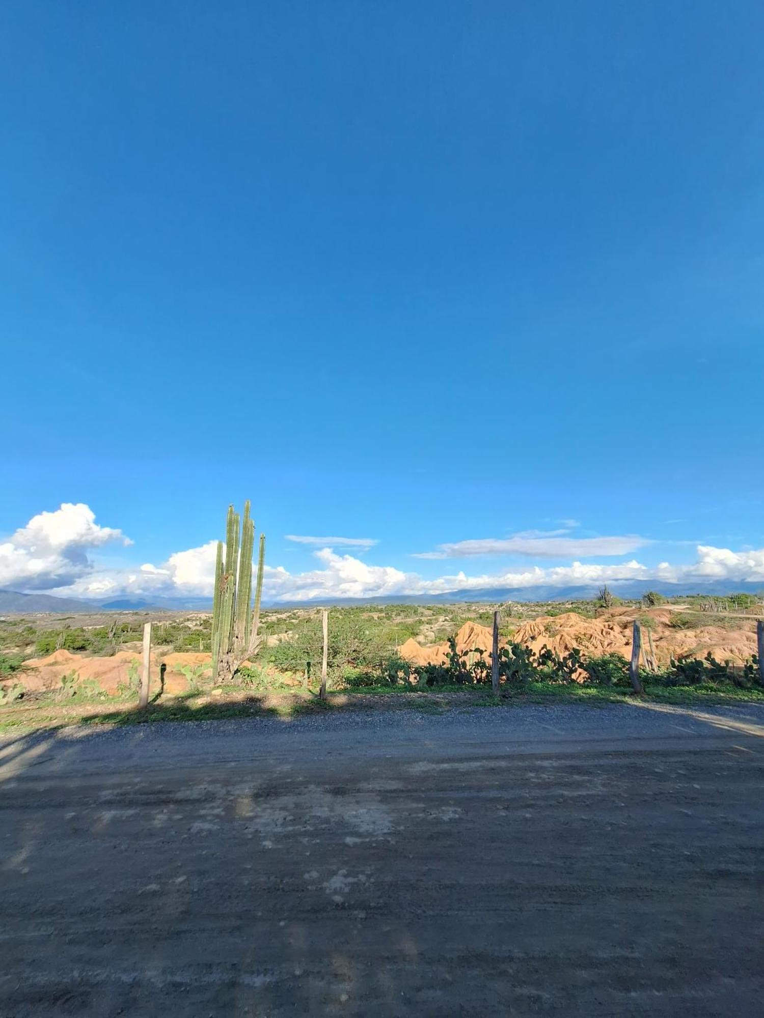 Alojamiento Casa De Campo Los Cactus Villavieja Esterno foto
