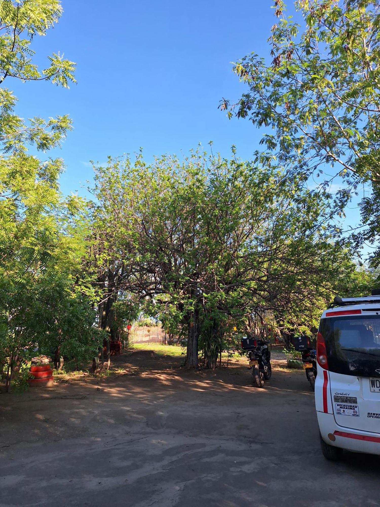 Alojamiento Casa De Campo Los Cactus Villavieja Esterno foto