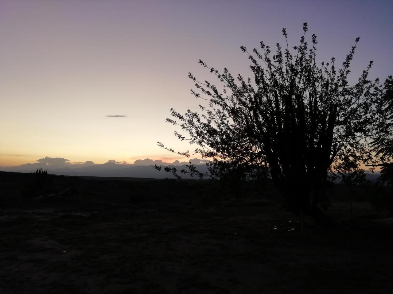 Alojamiento Casa De Campo Los Cactus Villavieja Esterno foto