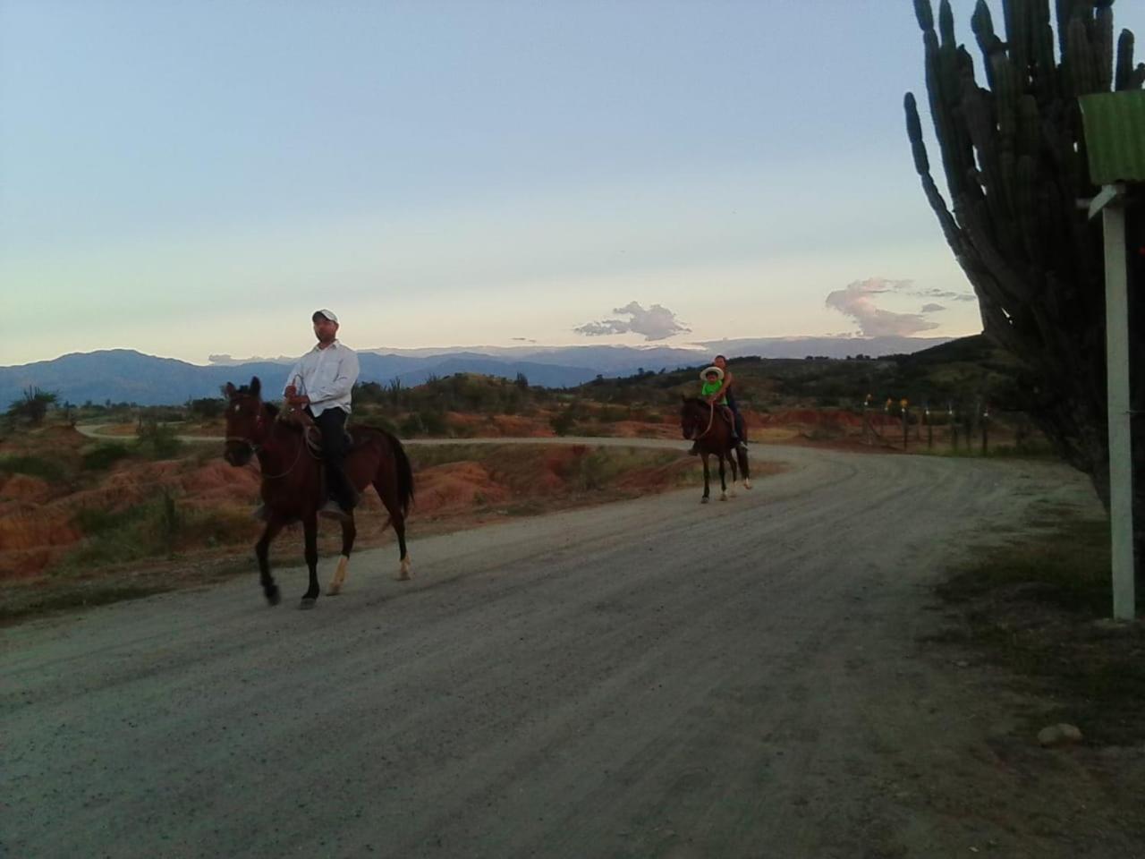 Alojamiento Casa De Campo Los Cactus Villavieja Esterno foto