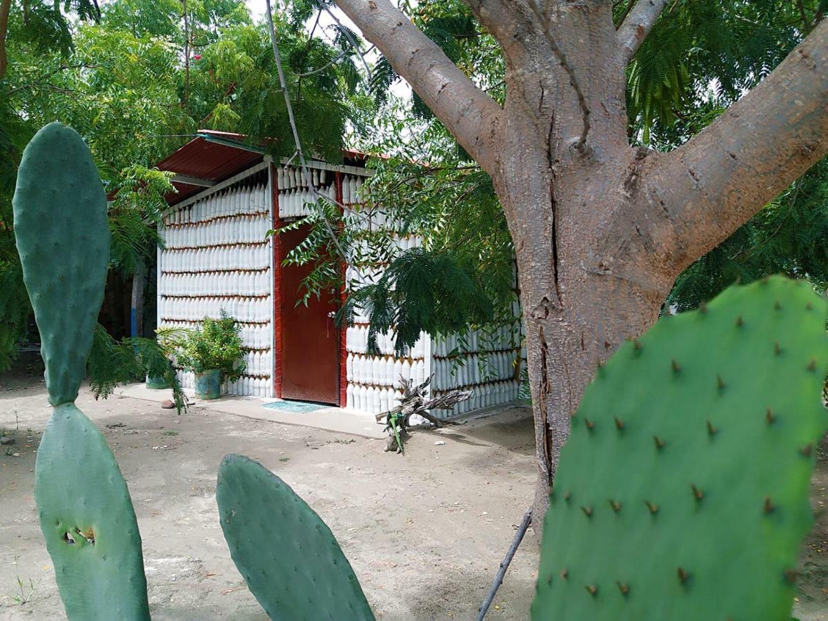 Alojamiento Casa De Campo Los Cactus Villavieja Esterno foto