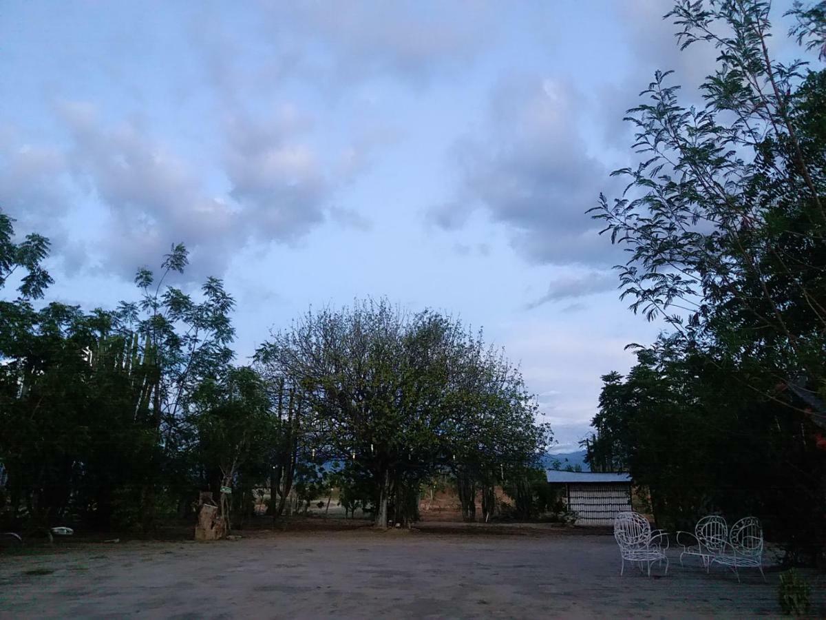 Alojamiento Casa De Campo Los Cactus Villavieja Esterno foto